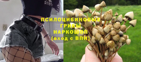 СК Иннополис