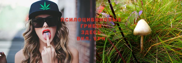 СК Иннополис